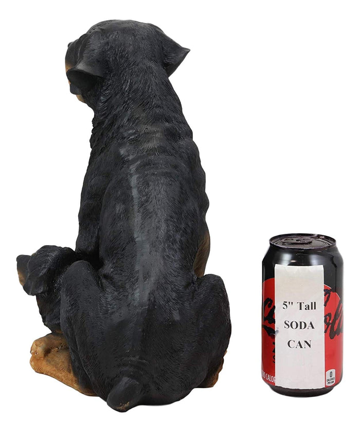 Ebros Gift Ebros Lifelike Realistic Sitting Rottie Rottweiler Dog Statue 11.5" Wide Fine Pedigree Butcher's Dogs Breed Gallery Quality Collectible Decor With Glass Eyes Figurine
