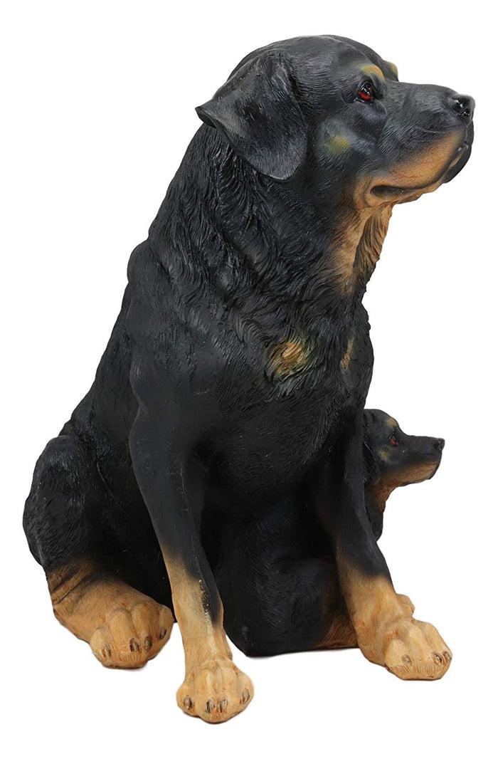 Ebros Gift Ebros Lifelike Realistic Sitting Rottie Rottweiler Dog Statue 11.5" Wide Fine Pedigree Butcher's Dogs Breed Gallery Quality Collectible Decor With Glass Eyes Figurine