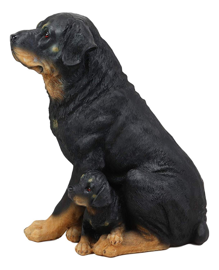 Ebros Gift Ebros Lifelike Realistic Sitting Rottie Rottweiler Dog Statue 11.5" Wide Fine Pedigree Butcher's Dogs Breed Gallery Quality Collectible Decor With Glass Eyes Figurine