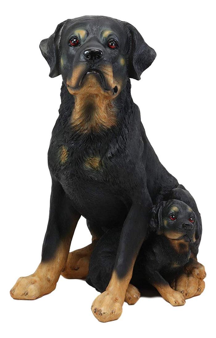 ebros gift Ebros Lifelike Realistic Sitting Rottie Rottweiler Dog Statue 11.5" Wide Fine Pedigree Butcher's Dogs Breed Gallery Quality Collectible Decor with Glass Eyes Figurine