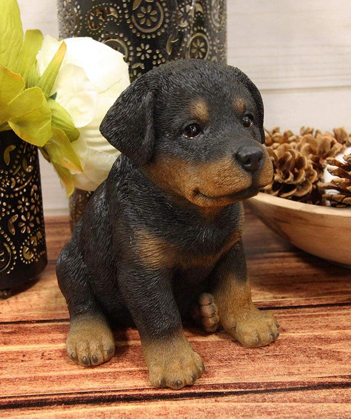 ebros gift Ebros Lifelike Realistic Sitting Rottie Rottweiler Puppy Dog Statue 6.25" Tall
