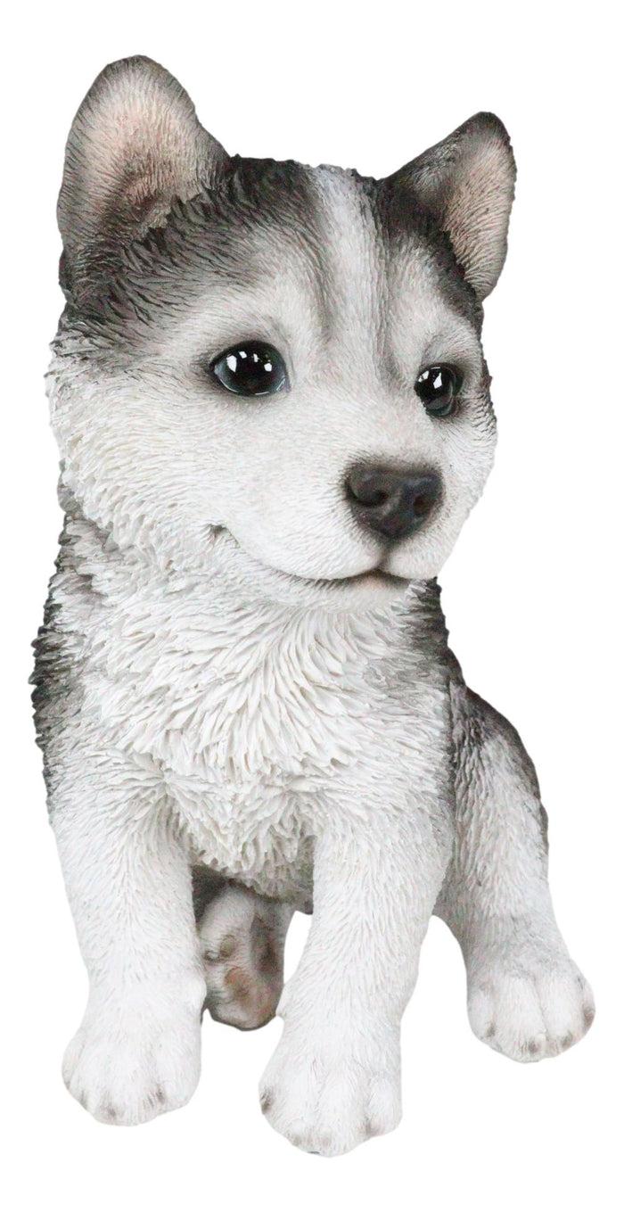 Ebros Gift Ebros Lifelike Siberian Husky Sled Dog Puppy Sitting Figurine 6.75"H Animal Pet