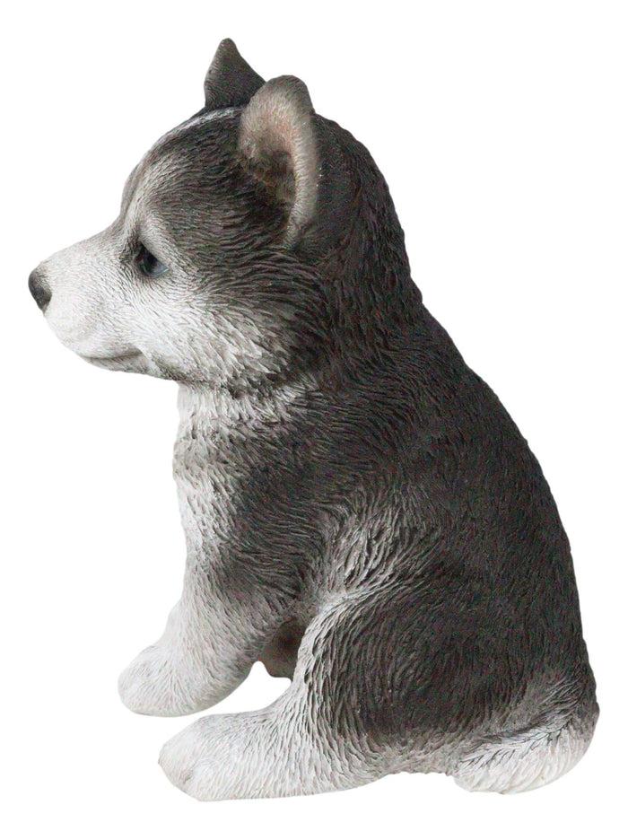 Ebros Gift Ebros Lifelike Siberian Husky Sled Dog Puppy Sitting Figurine 6.75"H Animal Pet