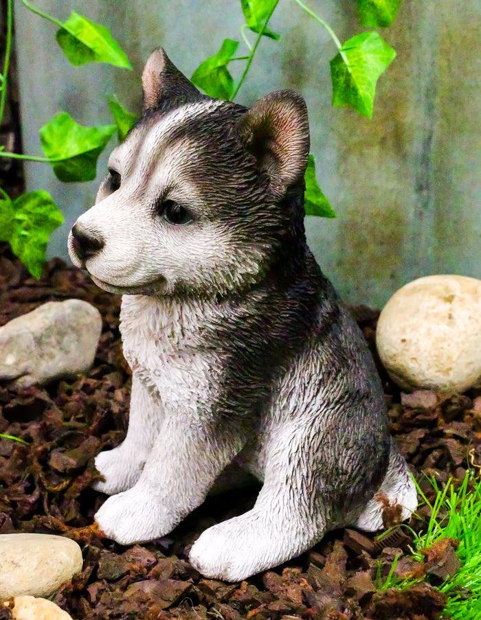 ebros gift Ebros Lifelike Siberian Husky Sled Dog Puppy Sitting Figurine 6.75"H Animal Pet