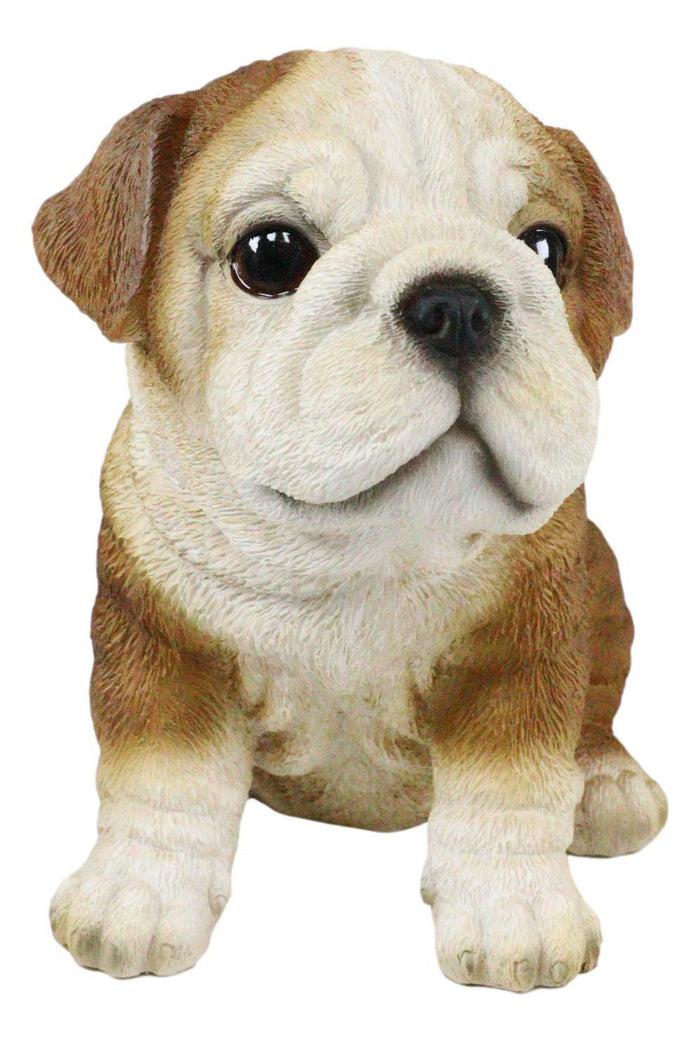 Ebros Gift Ebros Lifelike Sitting Adorable Bulldog Puppy Dog Figurine 5"H Pet Pal Puppies