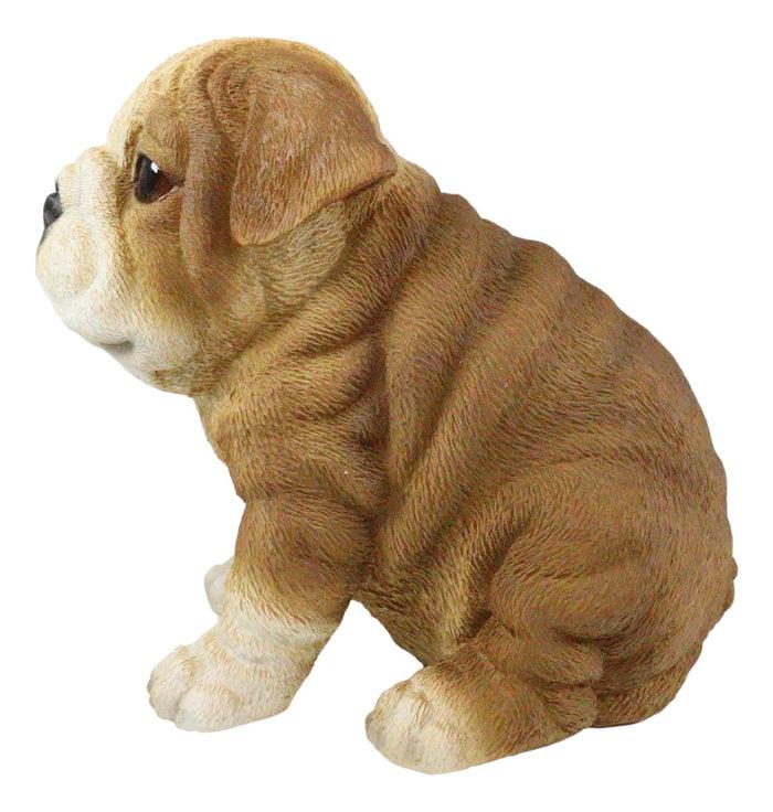 Ebros Gift Ebros Lifelike Sitting Adorable Bulldog Puppy Dog Figurine 5"H Pet Pal Puppies