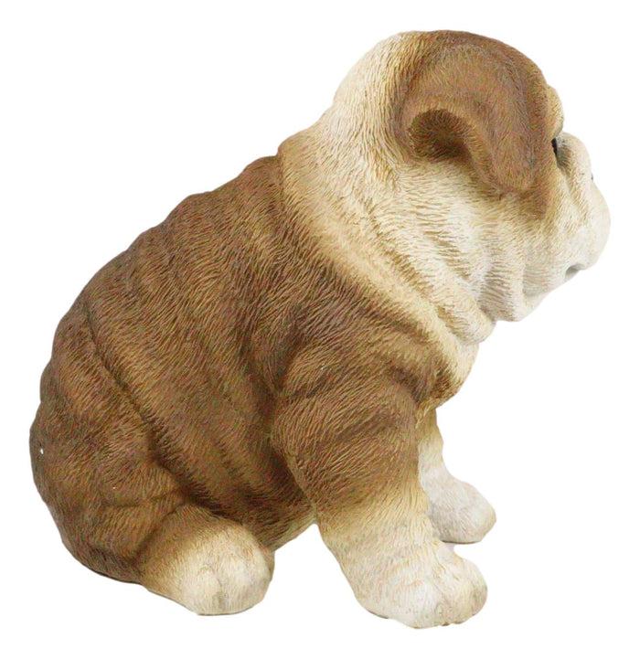 Ebros Gift Ebros Lifelike Sitting Adorable Bulldog Puppy Dog Figurine 5"H Pet Pal Puppies