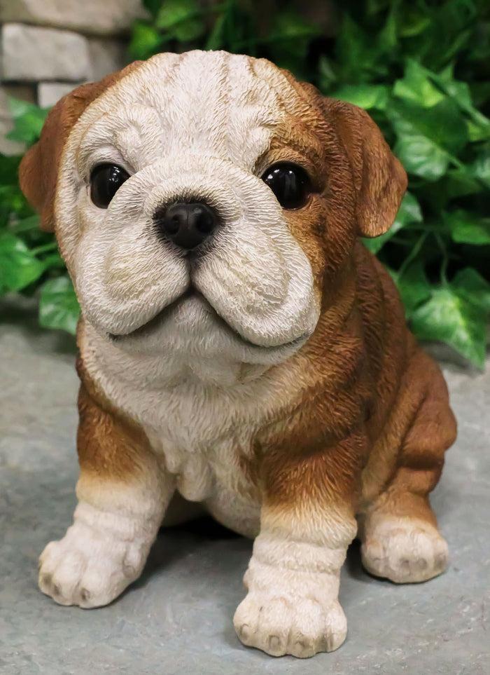 ebros gift Ebros Lifelike Sitting Adorable Bulldog Puppy Dog Figurine 5"H Pet Pal Puppies