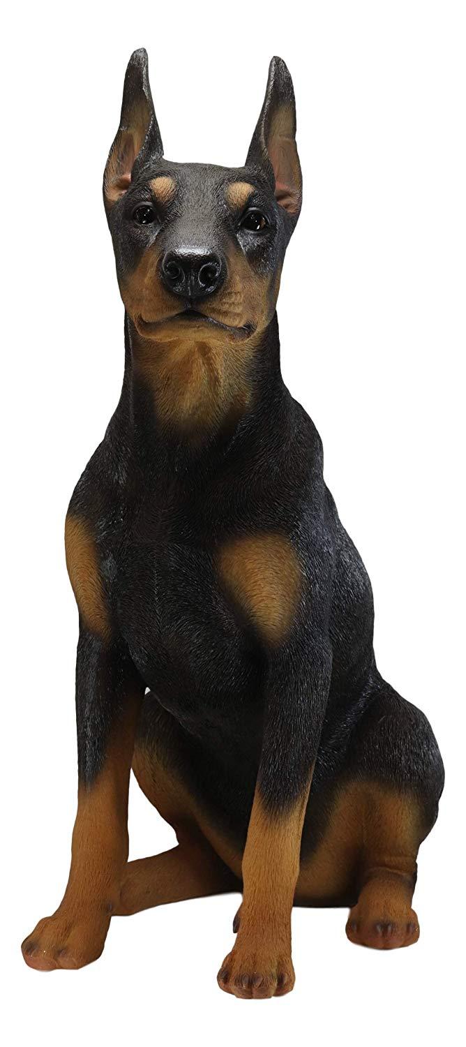 Ebros Gift Ebros Lifelike Sitting Doberman Pinscher Statue 23.5"Tall Pedigree Dog With Glass Eyes
