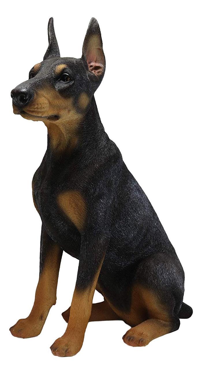 Ebros Gift Ebros Lifelike Sitting Doberman Pinscher Statue 23.5"Tall Pedigree Dog With Glass Eyes