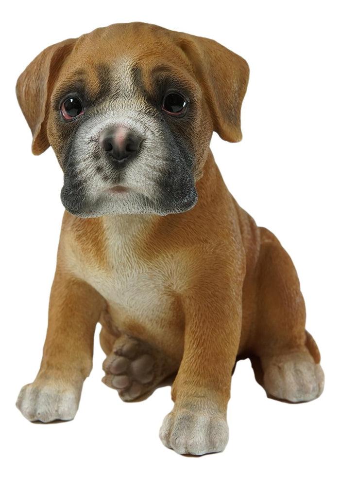 Ebros Gift Ebros Lifelike Sitting Fawn Boxer Puppy Dog Figurine With Glass Eyes 6" H Pet Pal
