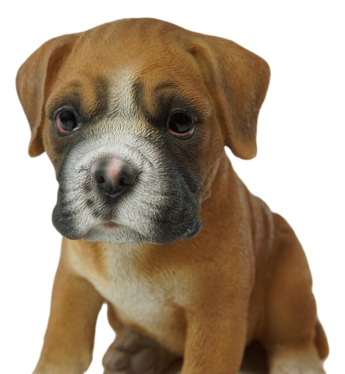Ebros Gift Ebros Lifelike Sitting Fawn Boxer Puppy Dog Figurine With Glass Eyes 6" H Pet Pal