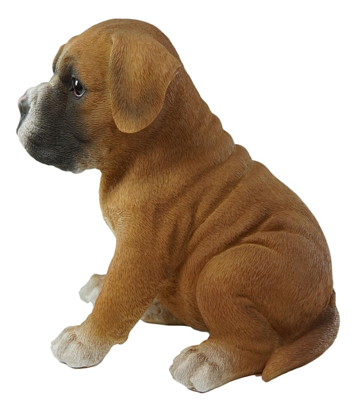 Ebros Gift Ebros Lifelike Sitting Fawn Boxer Puppy Dog Figurine With Glass Eyes 6" H Pet Pal