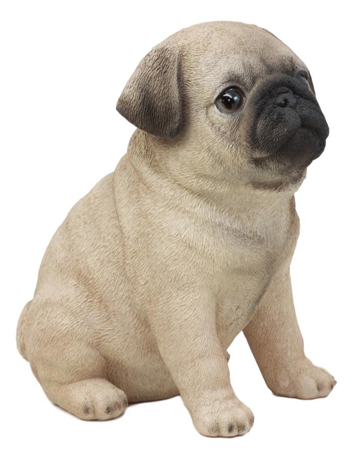 Ebros Gift Ebros Lifelike Sitting Pug Dog Statue 6" Tall Pet Pal Figurine With Glass Eyes