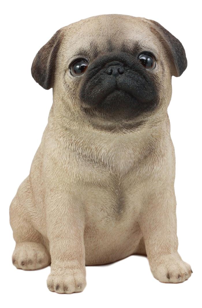 Ebros Gift Ebros Lifelike Sitting Pug Dog Statue 6" Tall Pet Pal Figurine With Glass Eyes