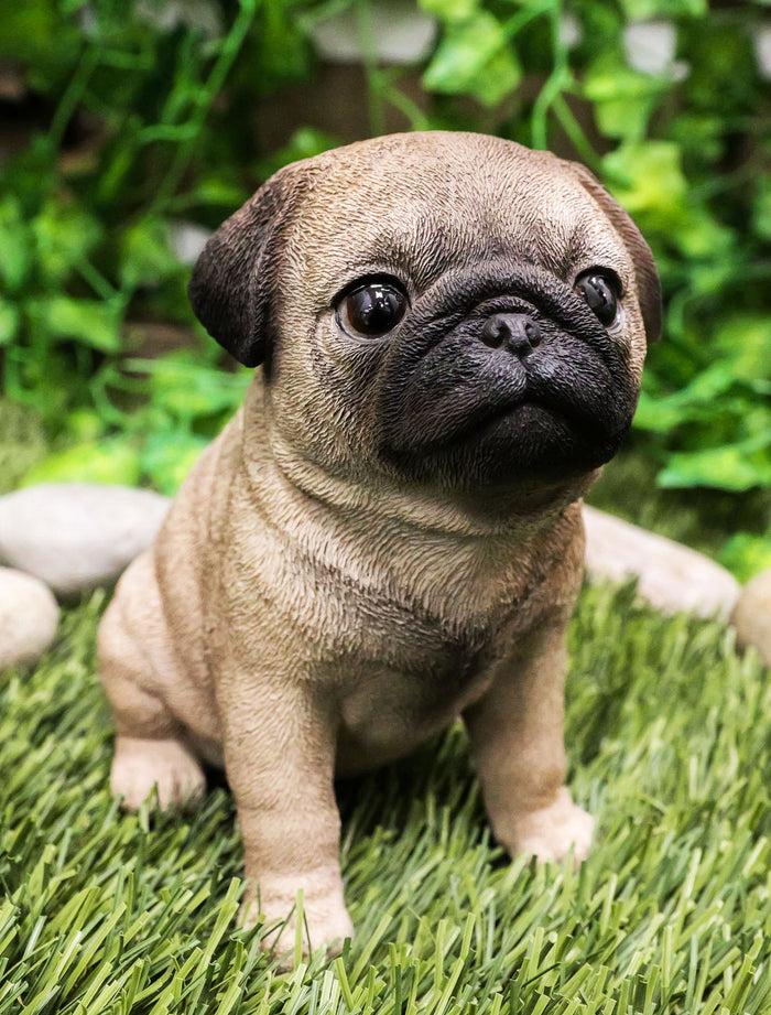 ebros gift Ebros Lifelike Sitting Pug Dog Statue 6" Tall Pet Pal Figurine with Glass Eyes