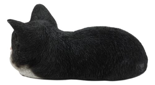 Ebros Gift Ebros Lifelike Sleeping Tuxedo Black And White Cat Statue 7" Long Pet Pal Kitten Decor Figurine