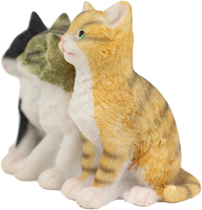 Ebros Gift Ebros Lifelike Trio Shorthair Kittens Cats Sitting Side By Side Figurine 5" Long