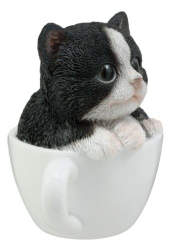 Ebros Gift Ebros Lifelike Tuxedo Black And White Cat Teacup Pet Pal Statue 3" Tall Kitten Kitty With Glass Eyes Decor Figurine