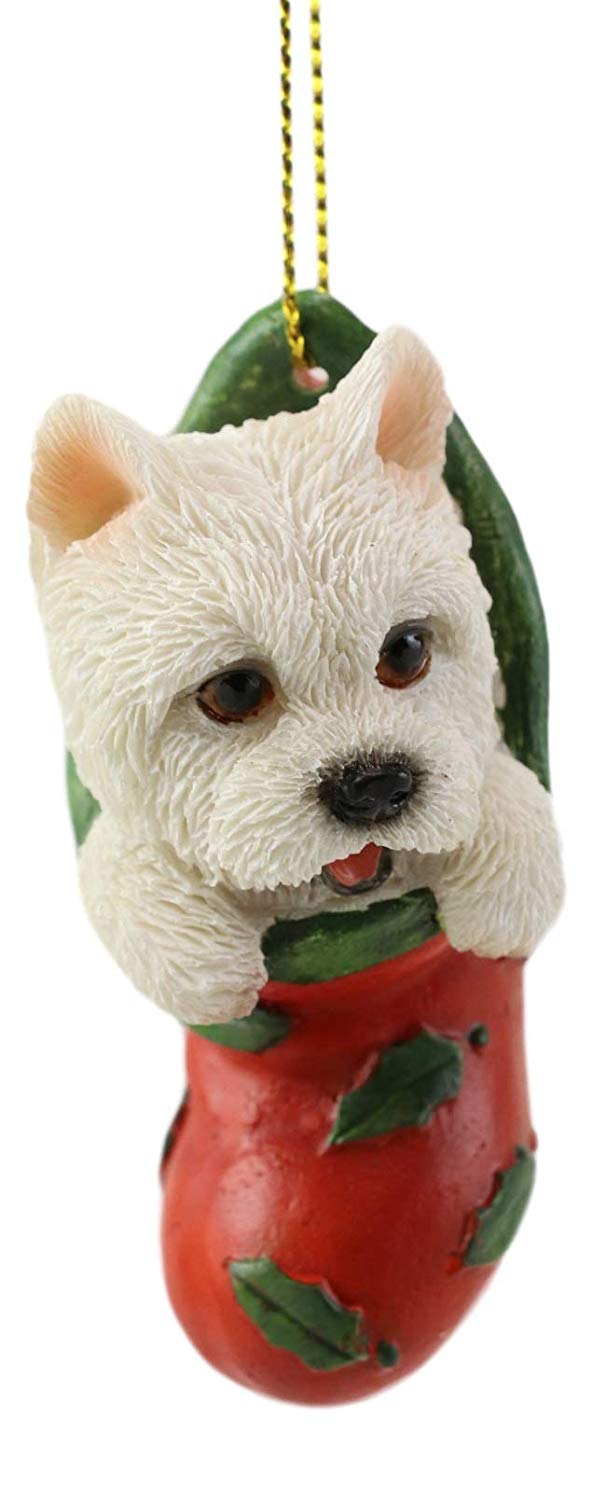 ebros gift Ebros Lifelike White Westie in The Sock Small Hanging Ornament Figurine with Glass Eyes Adorable West Highland Terrier Holiday Festive Season Decor for Christmas Trees Animal Pet Collectible
