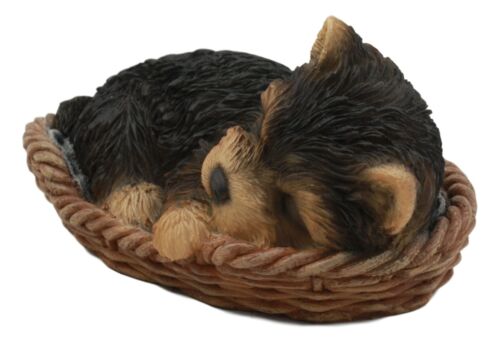 Ebros Gift Ebros Lifelike Yorkshire Terrier Puppy Dog Sleeping In Wicker Basket Statue Yorkie Pet