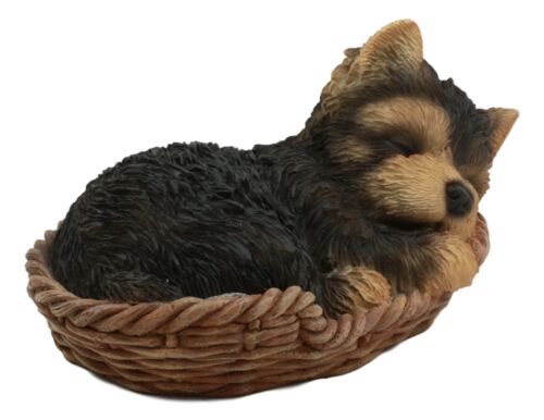 Ebros Gift Ebros Lifelike Yorkshire Terrier Puppy Dog Sleeping In Wicker Basket Statue Yorkie Pet