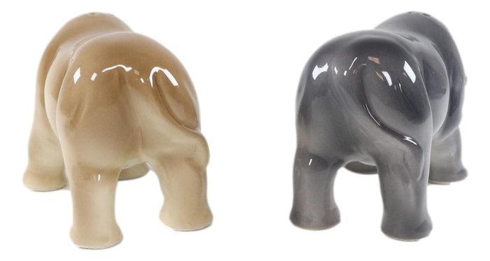 Ebros Gift Ebros Loggerheads Pachyderm African VS Asian Rhino Ceramic Salt Pepper Shaker Set
