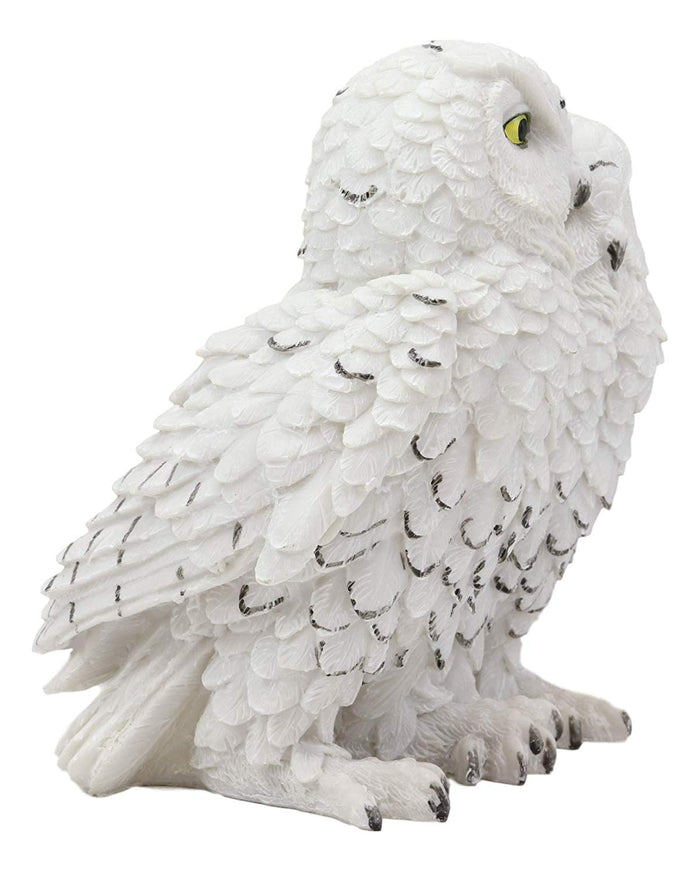 Ebros Gift Ebros Mystical Two Snow White Owls Couple Statue 7.25"Tall Whimsical Figurine