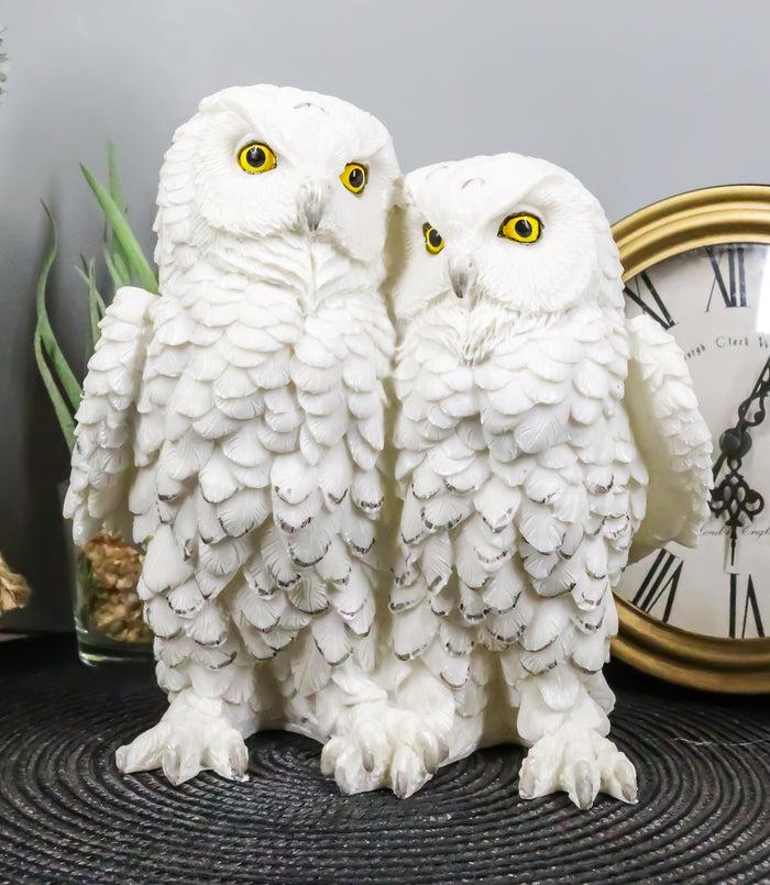 ebros gift Ebros Mystical Two Snow White Owls Couple Statue 7.25"Tall Whimsical Figurine