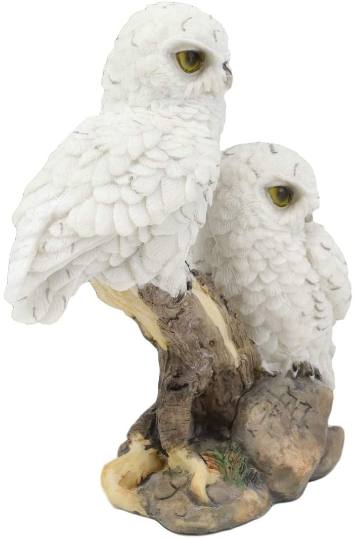 Ebros Gift Ebros Mystical Two White Snowy Baby Owlets Perching On Tree Branch Statue 7"Wide