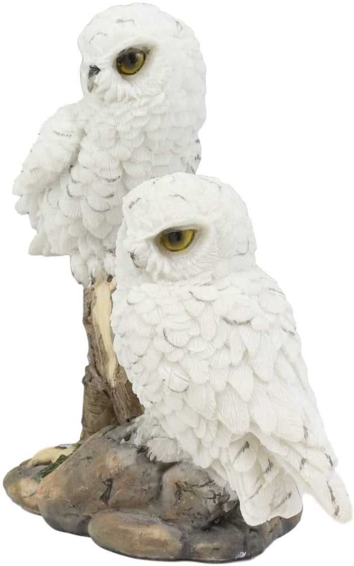 Ebros Gift Ebros Mystical Two White Snowy Baby Owlets Perching On Tree Branch Statue 7"Wide