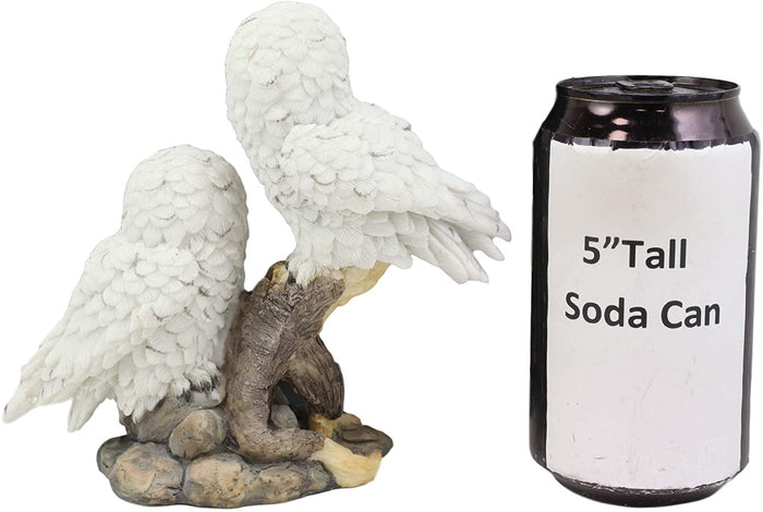 Ebros Gift Ebros Mystical Two White Snowy Baby Owlets Perching On Tree Branch Statue 7"Wide