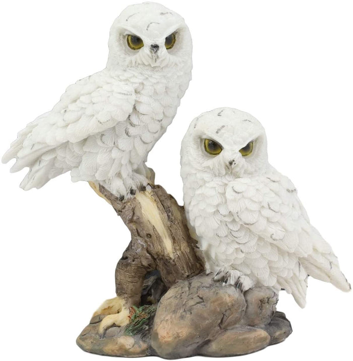 ebros gift Ebros Mystical Two White Snowy Baby Owlets Perching On Tree Branch Statue 7"Wide