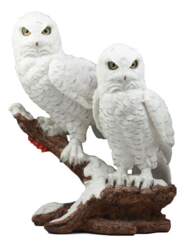 Ebros Gift Ebros Mystical Two White Snowy Owl Couple Perching On Tree Branch Statue 12.25"Tall