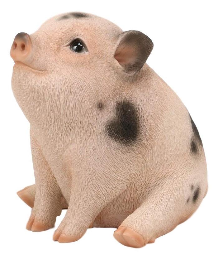 Ebros Gift Ebros Napoleon Fat Piglet Pig Statue 6" Long With Glass Eyes Piggy Figurine