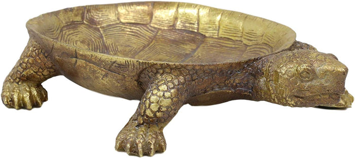 Ebros Gift Ebros Nautical Reptile Faux Gold Tortoise Soap Keys Coins Change Jewelry Holder Statue