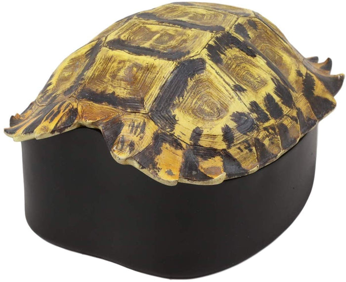 Ebros Gift Ebros Nautical Reptile Realistic Elongated Tortoise Shell Decorative Box Figurine 8"L