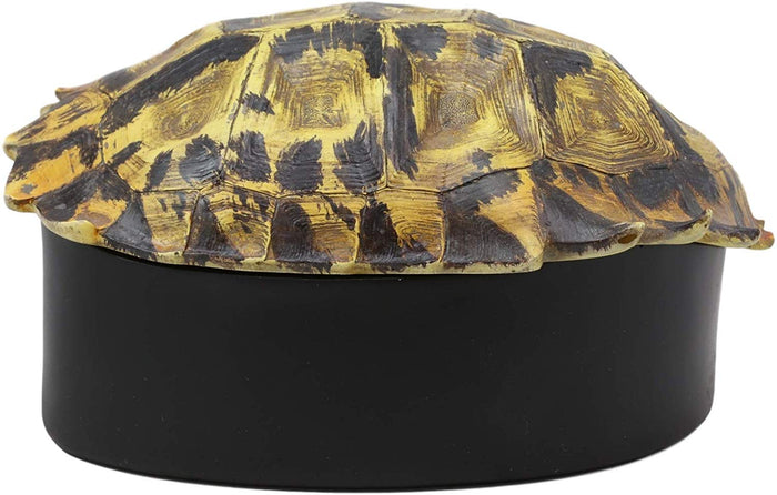 Ebros Gift Ebros Nautical Reptile Realistic Elongated Tortoise Shell Decorative Box Figurine 8"L