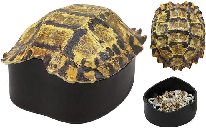 ebros gift Ebros Nautical Reptile Realistic Elongated Tortoise Shell Decorative Box Figurine 8"L