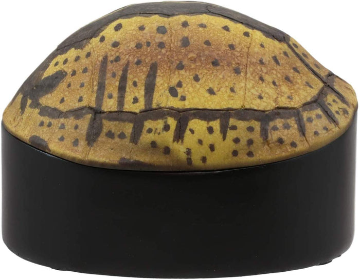 Ebros Gift Ebros Nautical Reptile Realistic Spotted Tortoise Shell Decorative Box Figurine 6.25"L