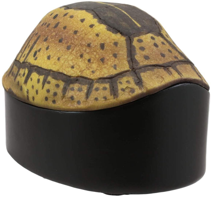 Ebros Gift Ebros Nautical Reptile Realistic Spotted Tortoise Shell Decorative Box Figurine 6.25"L