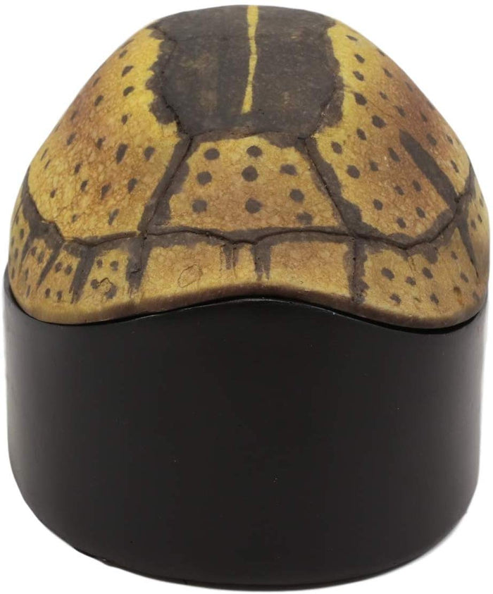 Ebros Gift Ebros Nautical Reptile Realistic Spotted Tortoise Shell Decorative Box Figurine 6.25"L