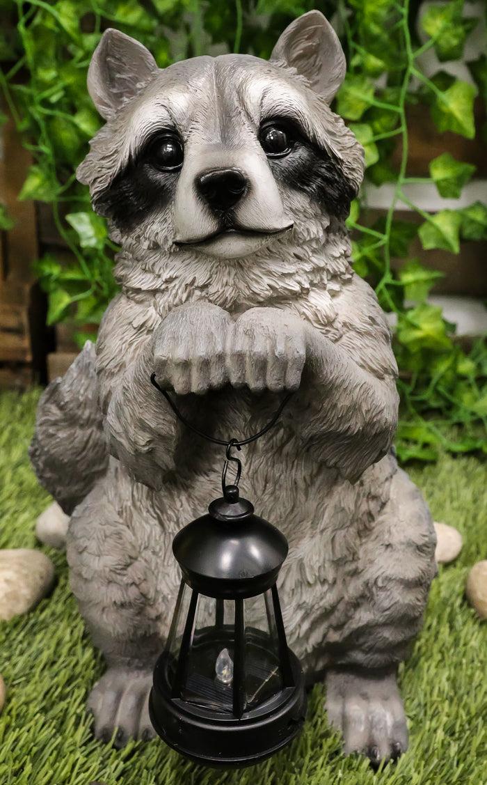 Ebros Gift Ebros Night Bandit American Raccoon Statue Holding Solar Lantern LED Light 15"H
