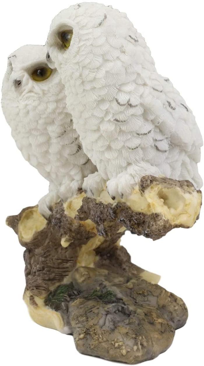 Ebros Gift Ebros Night Spies Two White Baby Owls Perching On Tree Branch Statue 5.75" H