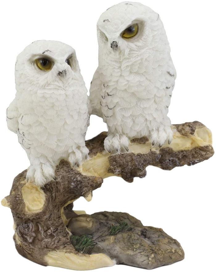 Ebros Gift Ebros Night Spies Two White Baby Owls Perching On Tree Branch Statue 5.75" H