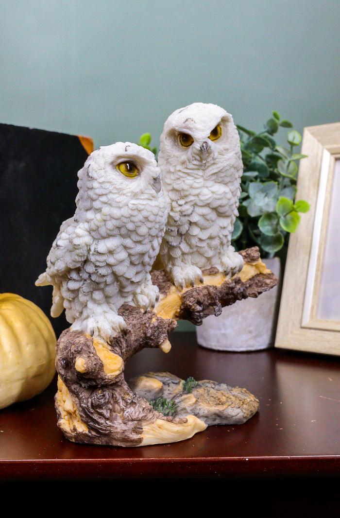 Ebros Gift Ebros Night Spies Two White Baby Owls Perching On Tree Branch Statue 5.75" H
