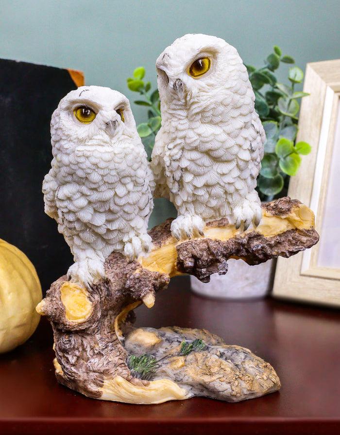ebros gift Ebros Night Spies Two White Baby Owls Perching On Tree Branch Statue 5.75" H