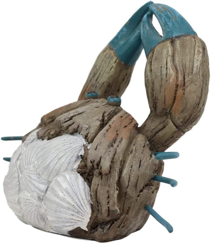 Ebros Gift Ebros Ocean Marine Pincer Crab With Sea Shells Resin Decorative Figurine 7.25" L