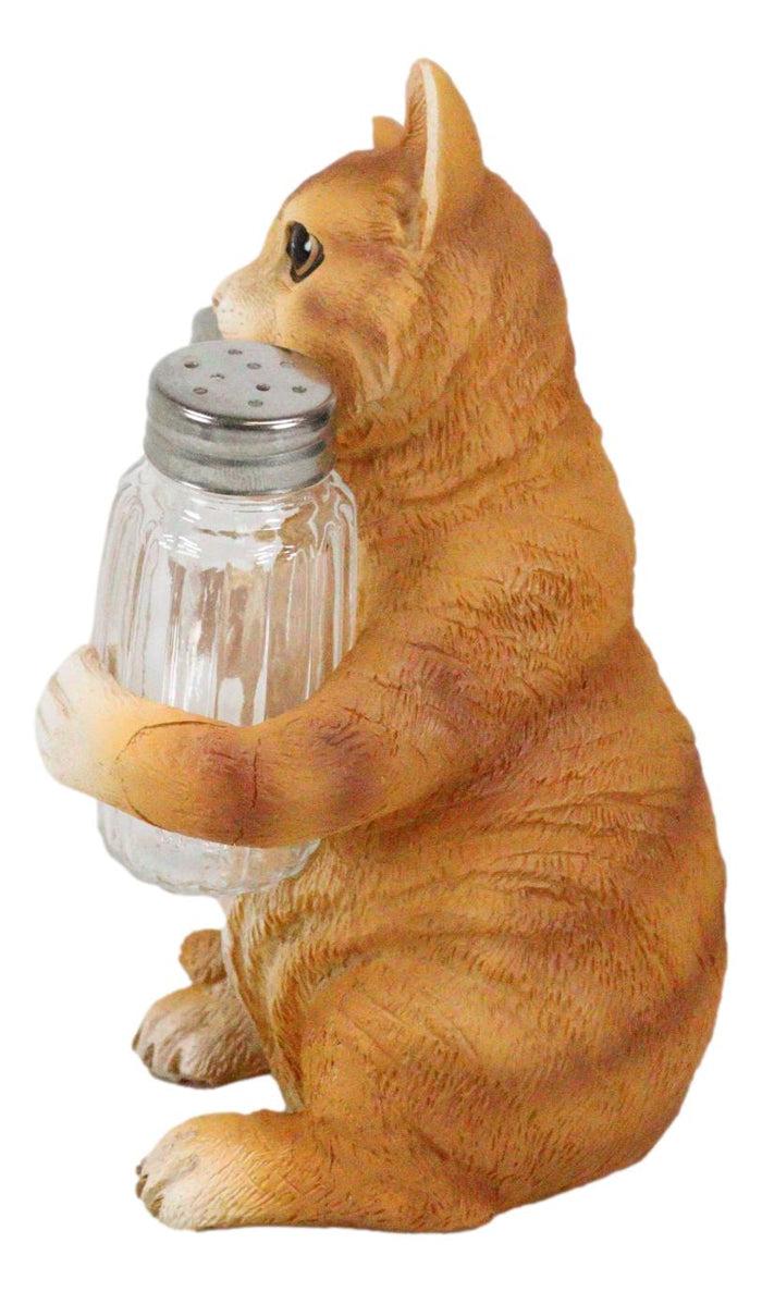 Ebros Gift Ebros Orange Tabby Kitty Cat Hugging Spice Salt Pepper Shakers Holder 8.25"H