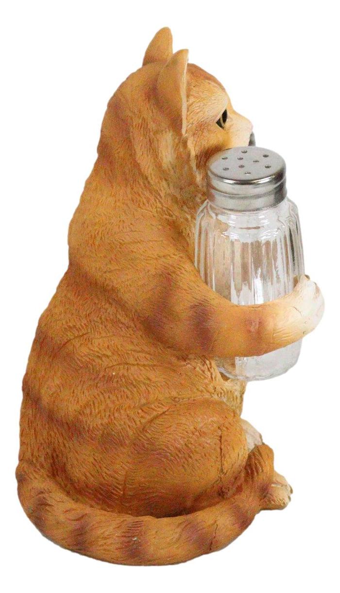 Ebros Gift Ebros Orange Tabby Kitty Cat Hugging Spice Salt Pepper Shakers Holder 8.25"H